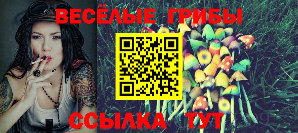 Галлюциногенные грибы MAGIC MUSHROOMS  Вход с VPN  Нальчик 