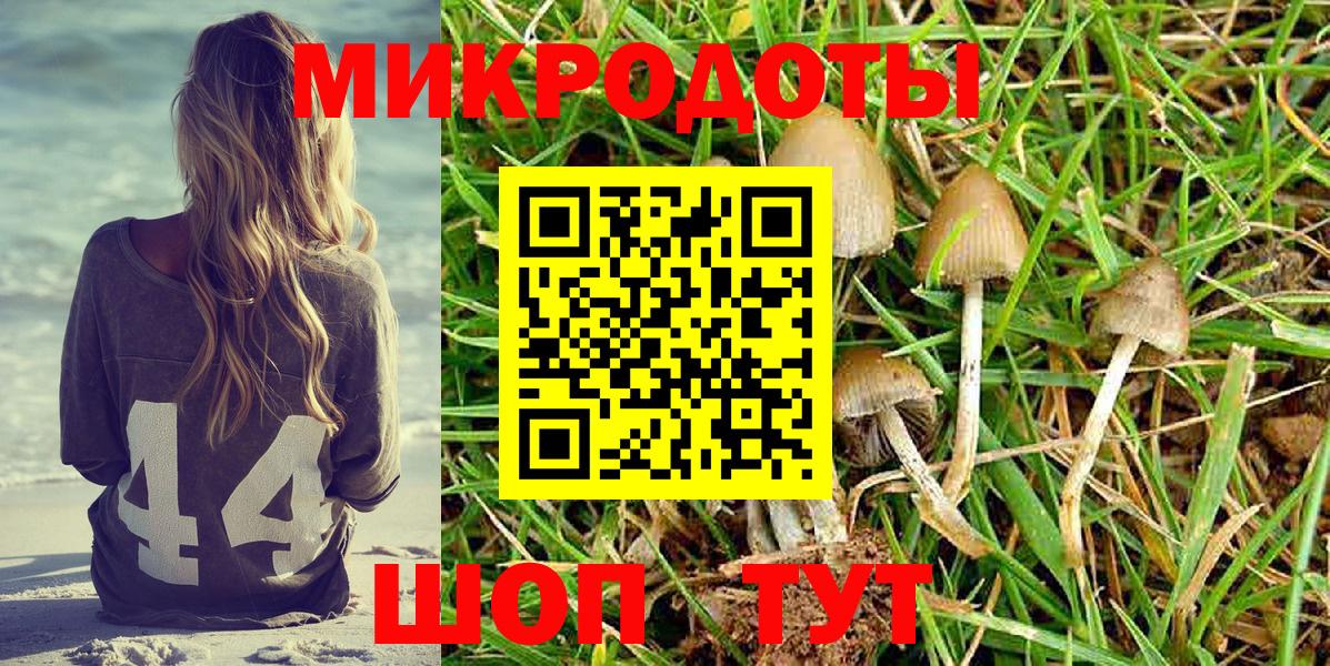 Псилоцибиновые грибы ЛСД Нальчик